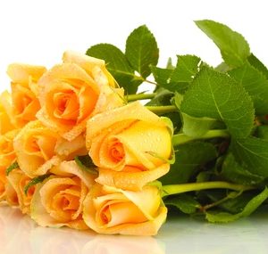 bouquets de Roses jaunes maroc