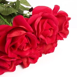 bouquet of red roses morocco