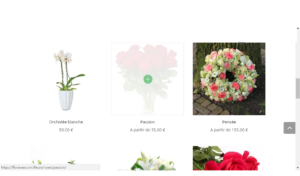 How to order from our site