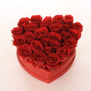 Flowerbox roses rouge