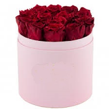 Flower Box Rond rose